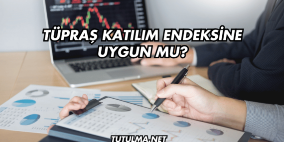 Tüpraş Katılım Endeksine Uygun mu?