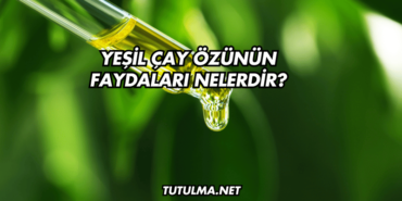 Yeşil Çay Özünün Faydaları Nelerdir?