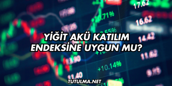 Yiğit Akü Katılım Endeksine Uygun mu?