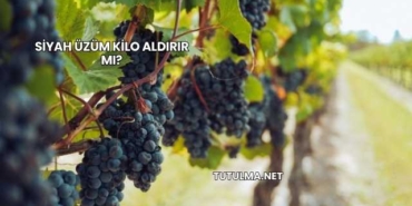 Siyah Üzüm Kilo Aldırır mı?