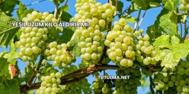 Yeşil Üzüm Kilo Aldırır mı?