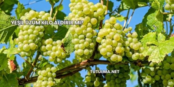 Yeşil Üzüm Kilo Aldırır mı?